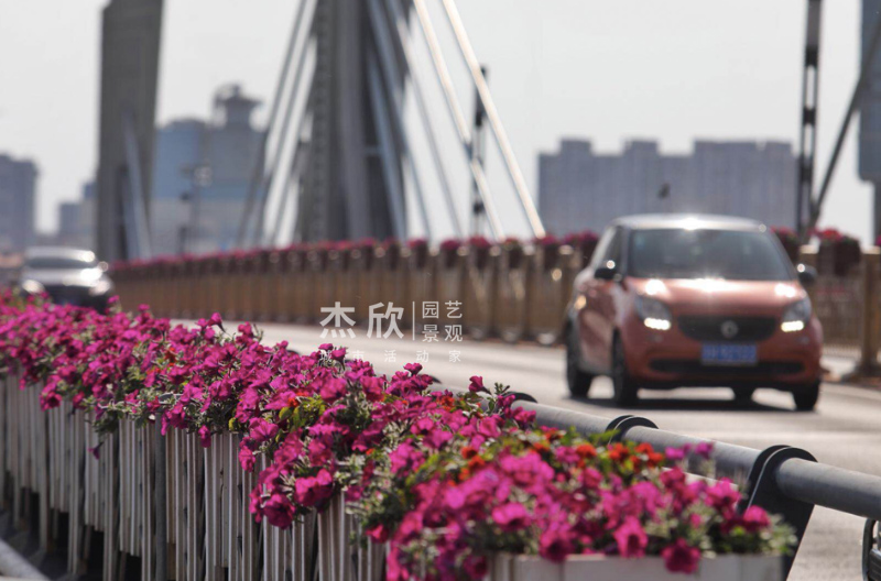 花箱尺寸如何確定？
